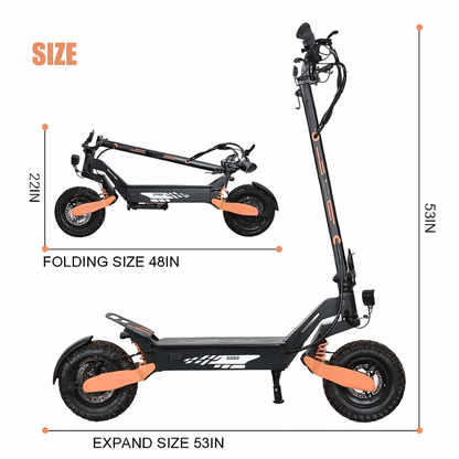 Zynora RaptorX™