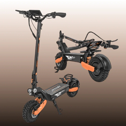 Zynora RaptorX™