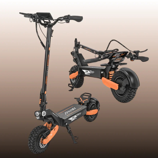 Zynora RaptorX™